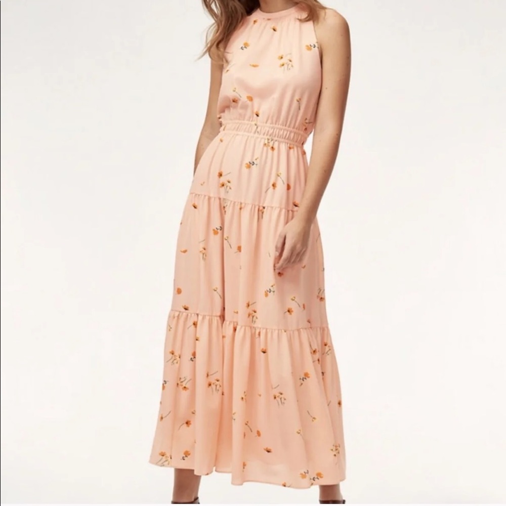 Aritzia Effet Maxi Dress